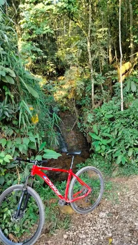 Bicicleta aro 29 oggi