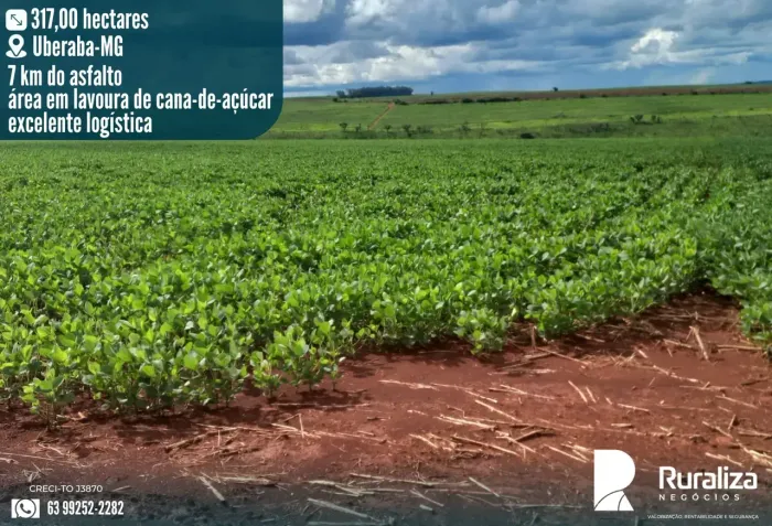 Fazenda Produtiva em Uberaba MG com Cana-de-Açúcar 317 ha