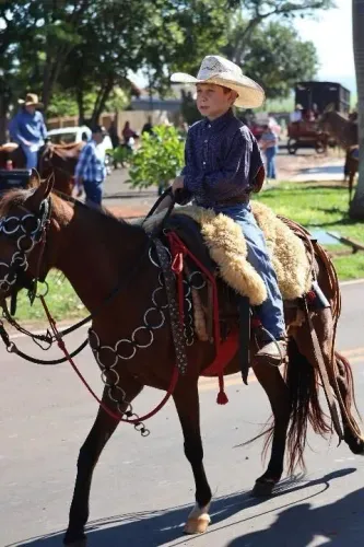 Égua petiça troco por burro ou mula
