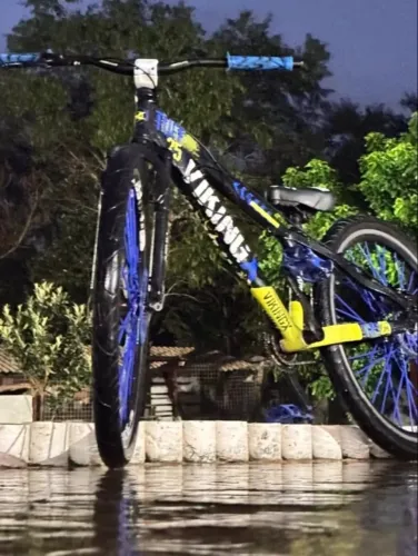 Bicicleta vikingx