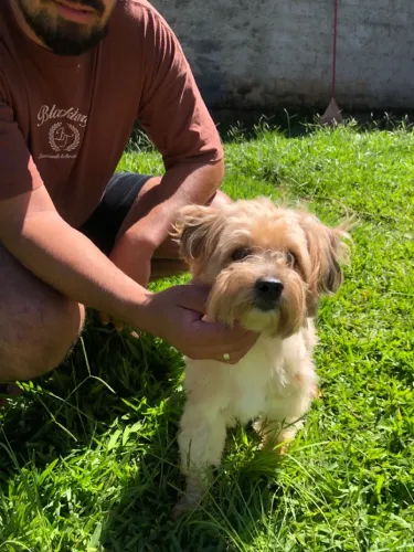 Adoção responsável!!