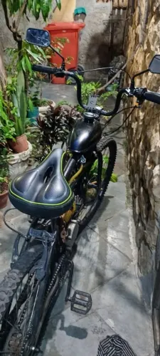 Bicicleta motorizada