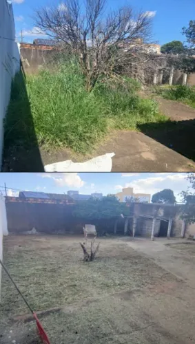 Limpeza de quintal e calçada e retida entulhos. 
