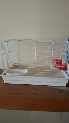 Gaiola para Roedores