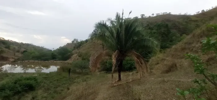 fazenda escriturada 145 hectares água acesso asfalto pouco chão analiso trocas apt.criação