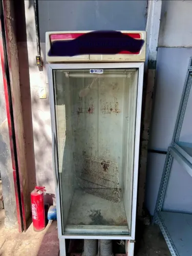 freezer vertical