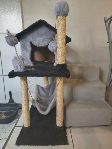 Casinha arranhador para gato