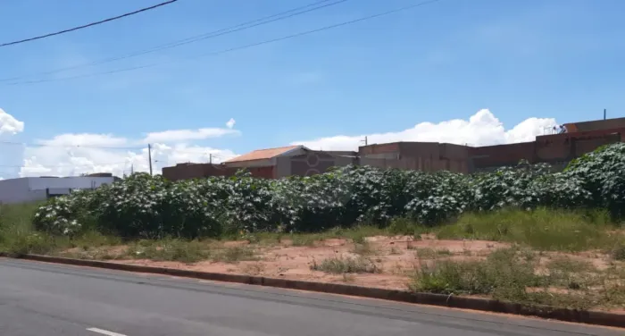 Terreno Para Venda No Bairro Monte Hebron