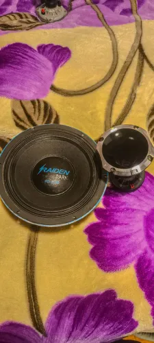 Alto Falante Raiden Dark RD 1650 + Driver e Corneta