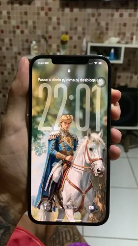iPhone 12 Pro Max 