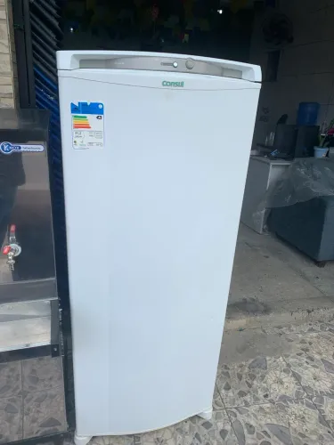 Freezer vertical 