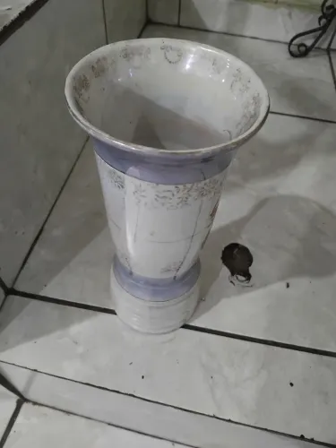 Vaso