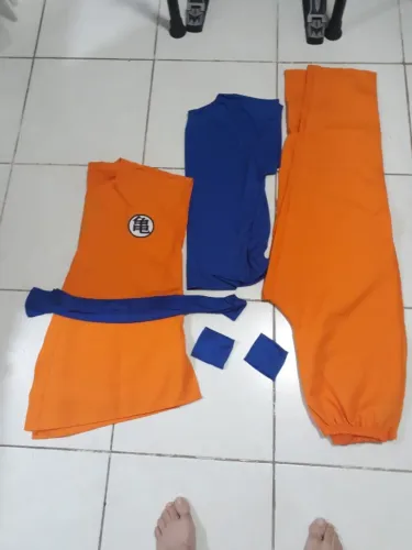 Fantasia Goku nova
