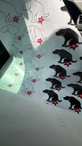 Adesivo antipetista