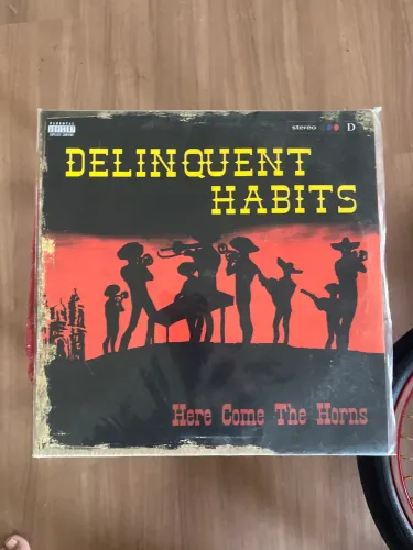 Lp Vinil Delinquent Habits