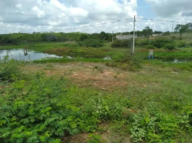 Terreno 30x50m Lavras da Mangabeira