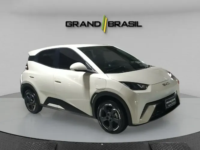 BYD Dolphin Mini (Elétrico) 2025