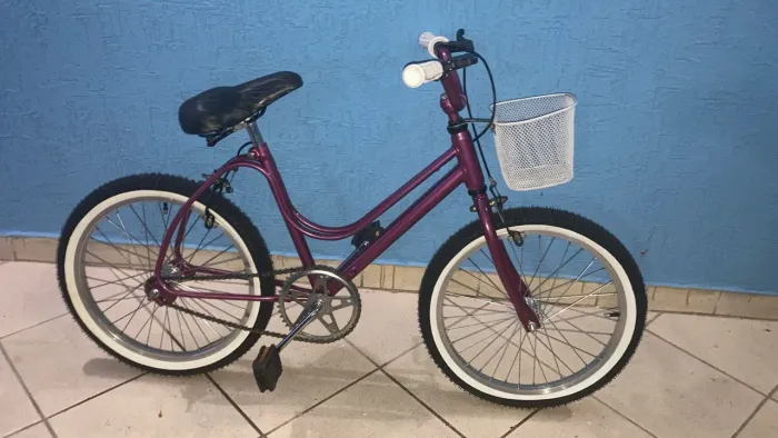Bicicleta infantil brisa aro 20