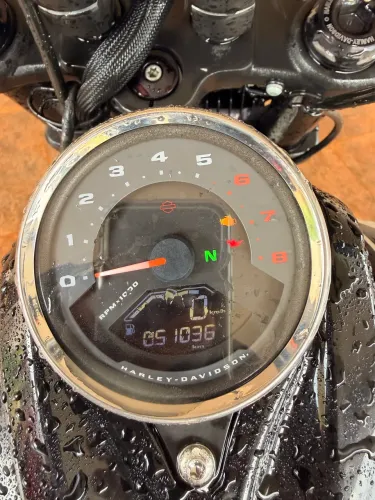 Fat Bob
