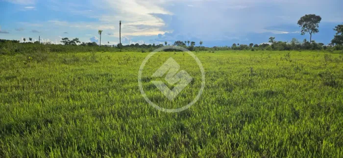 Sítio de 70 Hectares em Poconé Pronto para Pecuária e Rico em Água codigo: 290935