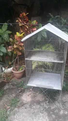 Vendo ótimo viveiro duplo. Barato