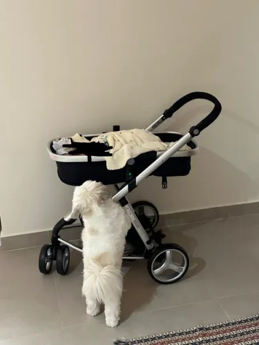 Carrinho com bebê conforto usado