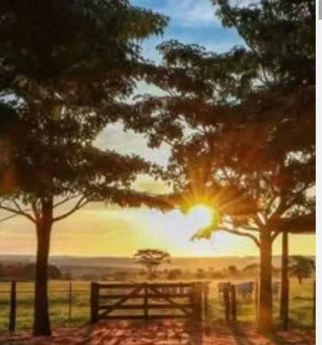 Disponível pra caseiro