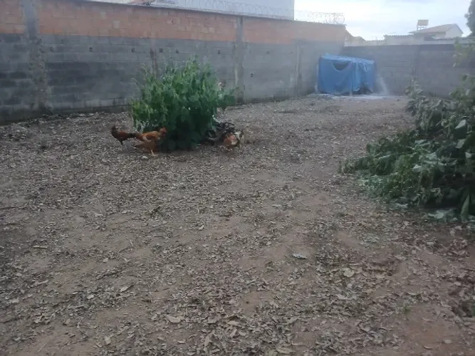 Vendo lote de esquina de 415 m2 no Braúnas, região da Pampulha