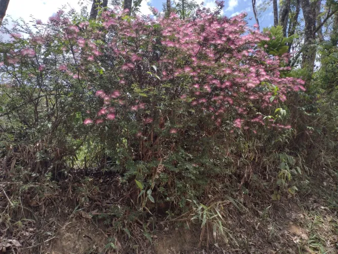 Vendo terrenos em Araçariguama