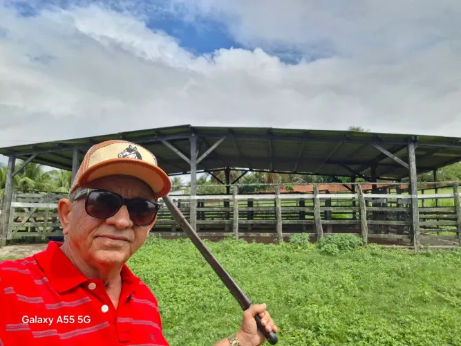 Oportunidade! Fazenda de 75t com 3 casas no município de Amélia Rodrigues, Frente Br 324 S