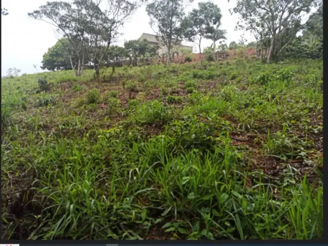 Terreno em Condomínio - Freitas - Condomínio Village Alpino - 3.130,22m².