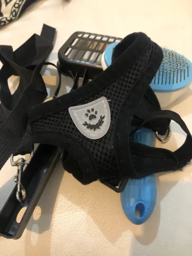 Kit para gatinho