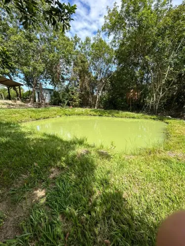 Chácara à Venda 5.000 m2 | Hidrolândia - GO