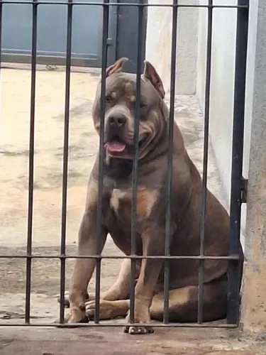 Pit monster