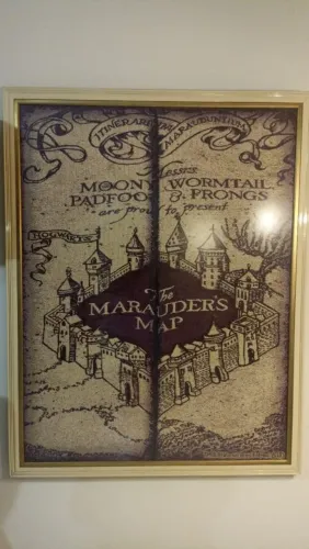 Quadro do Harry Potter