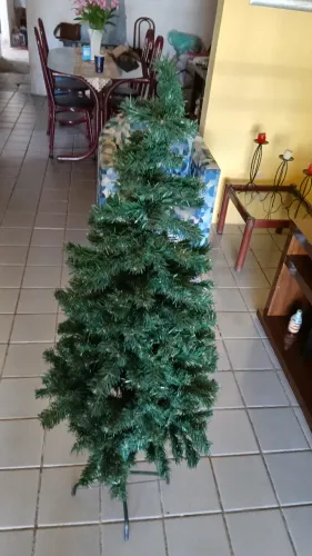 Pinheiro Natalino