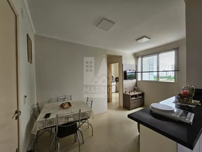 Apartamento prox. ao Parque do Ingá a venda, 2 quartos, Zona 08, Maringá PR - Spazio Madag