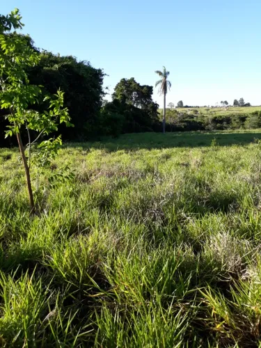 Chácara 11 hectares Antes de Jaraguari