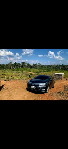 Colonia 50 hectare sena madureira