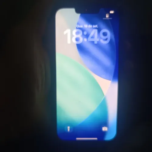 iPhone 13 Pro Max 256