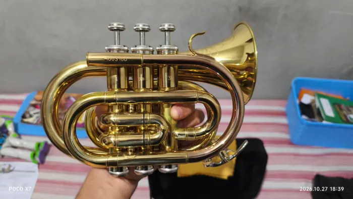 Instrumental 