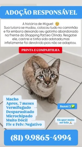Adoção Responsável