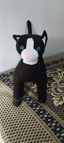 Manequim pet