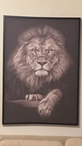 Vendo quadro de Leão