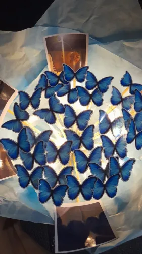 Busque de Borboleta