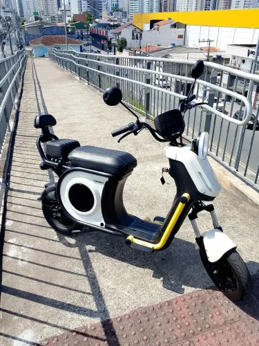 Scooter panda WD2 eletrônica 1000w