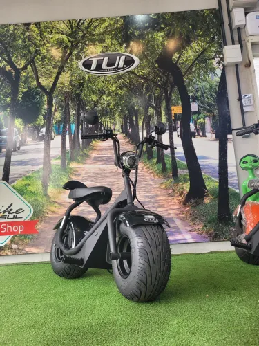 Scooter TUI+ 1000w
