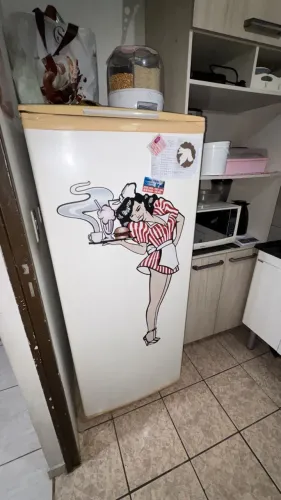 Geladeira cônsul refrigerador 300 Torrando !