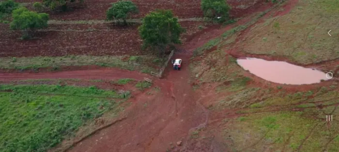 Fazenda Pecuária Niquelândia GO 98 Alqueires, 65% Agricultável, Confinamento 1000 Cabeças 