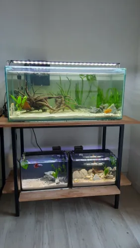 Aquario 100 litros